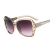 Fashion Square Sunglasses Women Luxury Brand Big Purple Sun Glasses