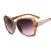 Fashion Square Sunglasses Women Luxury Brand Big Purple Sun Glasses