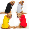 Pet Clothes Golden