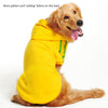 Pet Clothes Golden