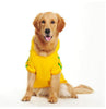 Pet Clothes Golden